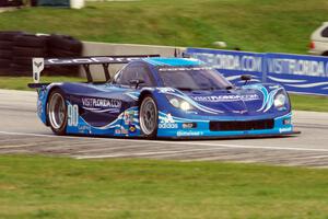 Richard Westbrook / Ricky Taylor Chevy Corvette DP (Coyote)