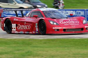 Jon Fogarty / Alex Gurney Chevy Corvette DP (Riley)