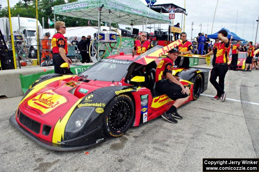 Dane Cameron / Wayne Nonnamaker Riley XXVI/BMW during the grid walk