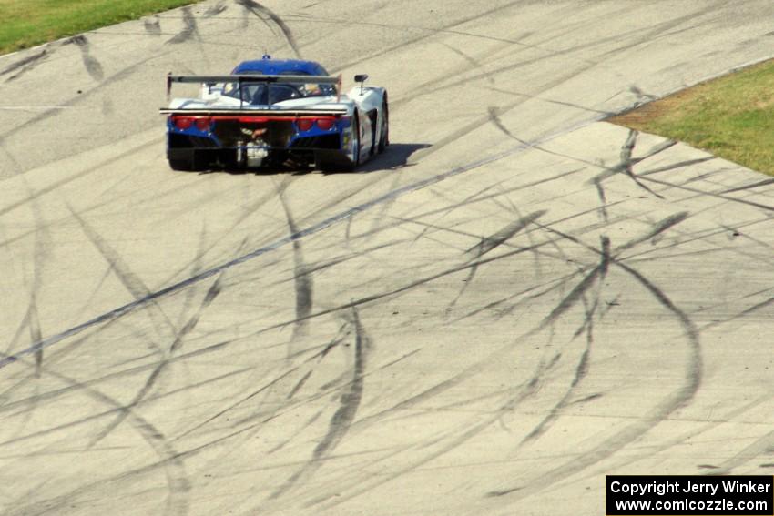 Brian Frisselle / Burt Frisselle Chevy Corvette DP (Coyote)