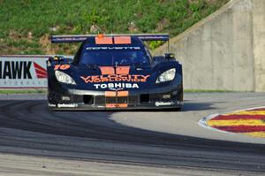 Max Angelelli / Jordan Taylor Chevy Corvette DP (Dallara)