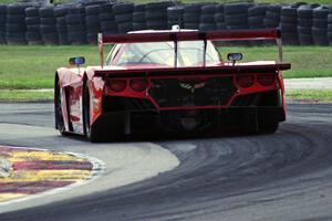 Jon Fogarty / Alex Gurney Chevy Corvette DP (Riley)