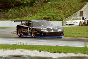 Paul Gentilozzi / Mark Montgomery Jaguar XKR and Terry Borcheller / Ron Johnson Ford Saleen Mustang