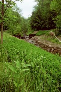 A gentle stream just to the south of the Finger Lakes area of New York.