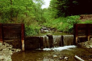 A gentle stream just to the south of the Finger Lakes area of New York.