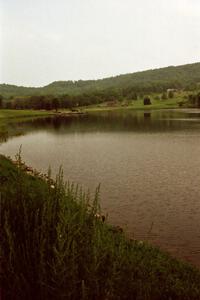 A view of lake just outside of Wellsboro, PA.