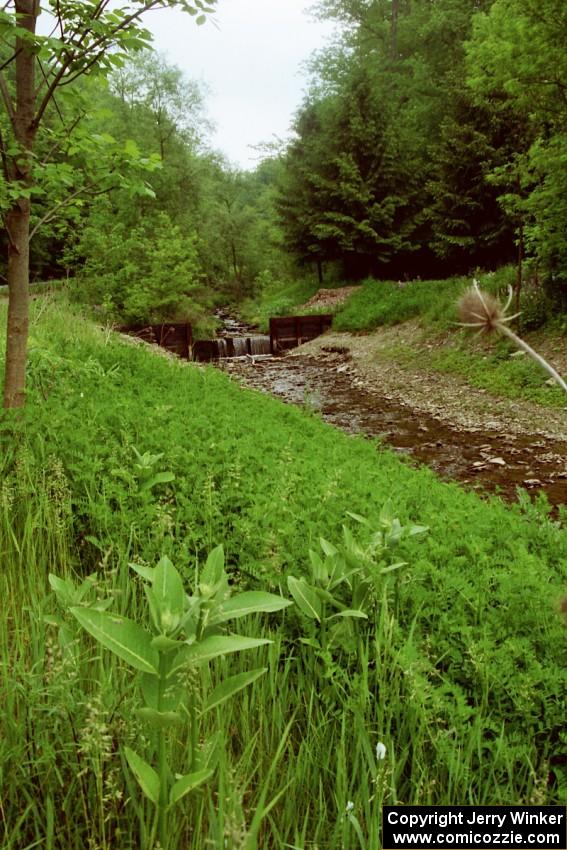 A gentle stream just to the south of the Finger Lakes area of New York.