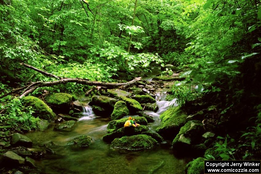 A view of a mountain stream off Rattler Rd.