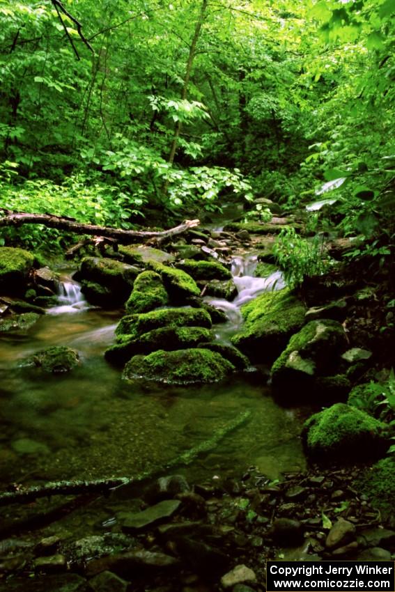 A view of a mountain stream off Rattler Rd.