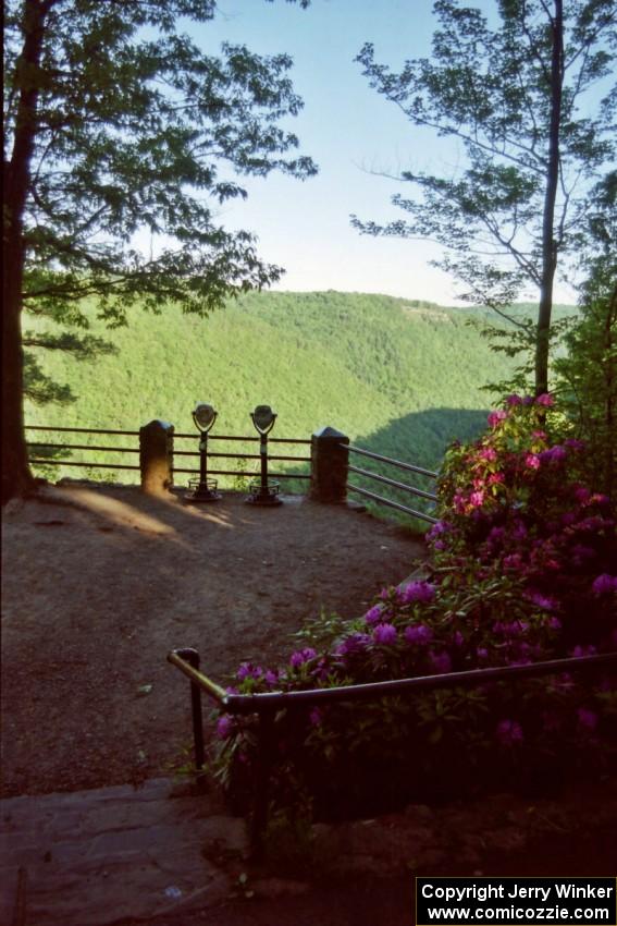 View of the Grand Canyon of the East in Pennsylvania