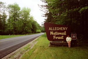 Entering the Allegheny State Forest