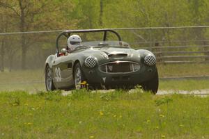 Dan Powell's Austin-Healey 3000