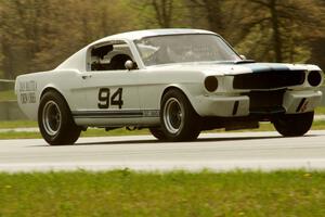 Brian Kennedy's Ford Shelby GT350