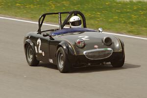 Phil Schaefer's Austin-Healey Sprite