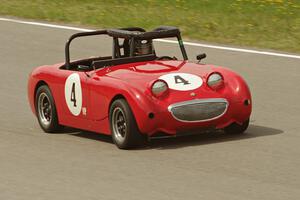 Tom Daly's Austin-Healey Sprite