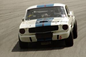 Brian Kennedy's Ford Shelby GT350