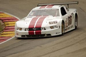 Denny Lamers' Ford Mustang