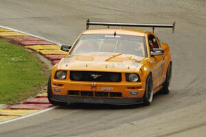 Chuck Cassaro's Ford Mustang