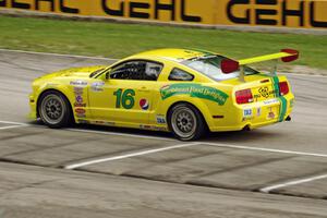 Rob Bodle's Ford Mustang