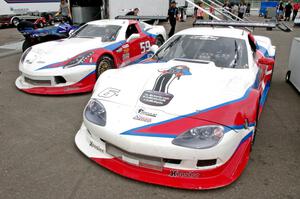 Mickey Wright's (foreground) and Simon Gregg's Chevy Corvettes