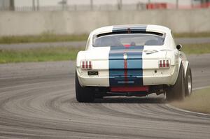 Brian Kennedy's Ford Shelby GT350