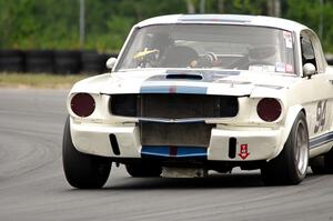 Brian Kennedy's Ford Shelby GT350