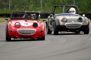 Tom Daly's Austin-Healey Sprite leads Phil Schaefer's Austin-Healey Sprite through the carousel.