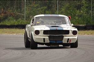 Brian Kennedy's Ford Shelby GT350