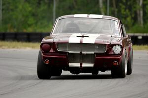 Richard Kurtz's Ford Mustang