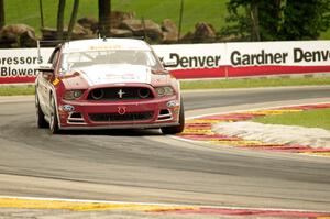 Mitch Landry's Ford Mustang Boss 302S