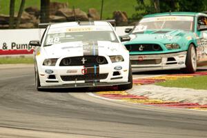 Craig Capaldi's and Erik Davis' Ford Mustang Boss 302Ss