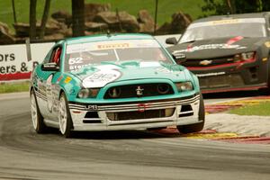 David Sterckx's Ford Mustang Boss 302S and