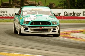 David Sterckx's Ford Mustang Boss 302S