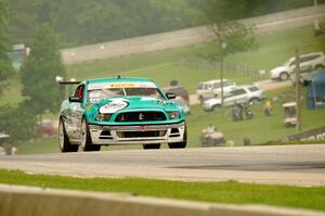 David Sterckx's Ford Mustang Boss 302S