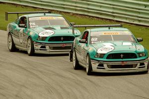 David Sterckx's and Erik Davis' Ford Mustang Boss 302Ss