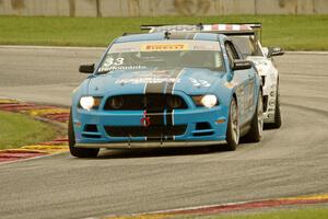 Tony Buffomante's Ford Mustang Boss 302S and Andy Lee's Chevy Camaro