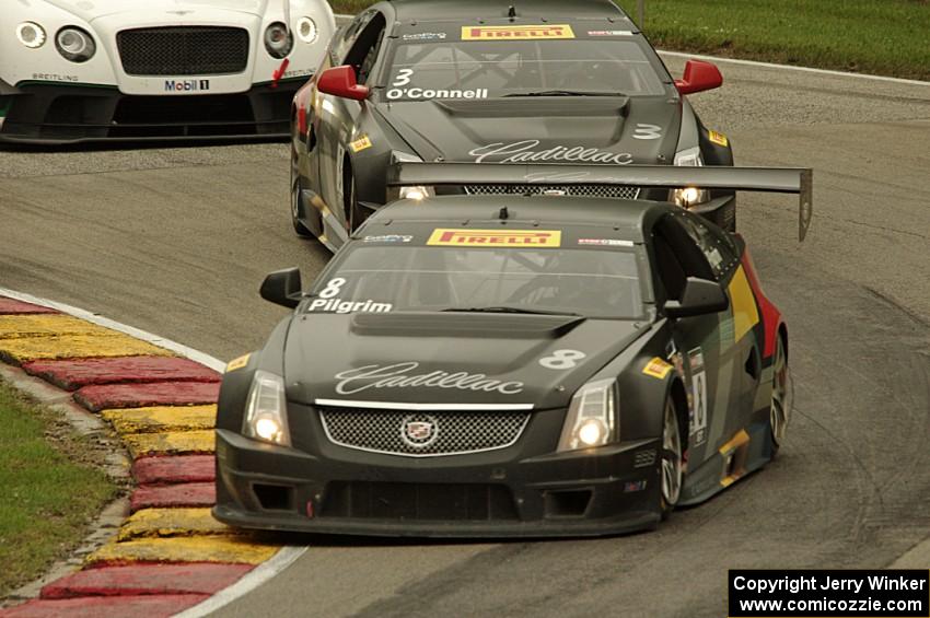 Andy Pilgrim's and Johnny O'Connell's Cadillac CTS-V Rs and Butch Leitzinger's Bentley Continental GT3