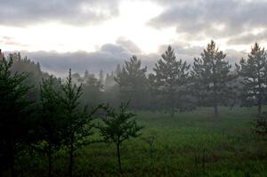 Foggy sunset at the entrance to Itasca State Park