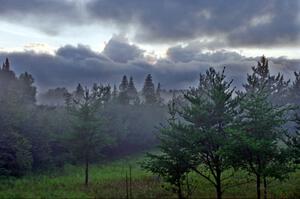 Foggy sunset at the entrance to Itasca State Park