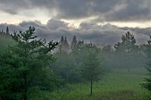 Foggy sunset at the entrance to Itasca State Park