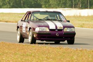 Purple-Headed Chumps Ford Mustang