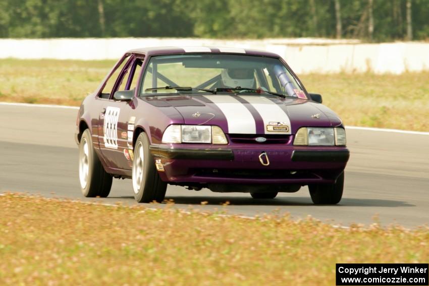 Purple-Headed Chumps Ford Mustang