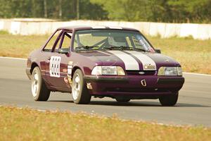 Purple-Headed Chumps Ford Mustang