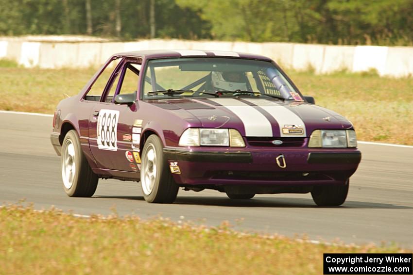 Purple-Headed Chumps Ford Mustang