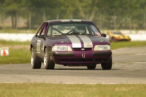 Purple-Headed Chumps Ford Mustang