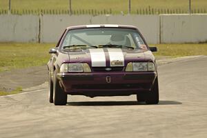 Purple-Headed Chumps Ford Mustang