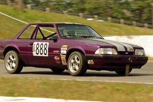 Purple-Headed Chumps Ford Mustang