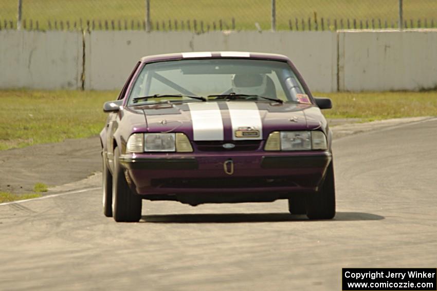 Purple-Headed Chumps Ford Mustang