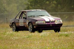 Purple-Headed Chumps Ford Mustang