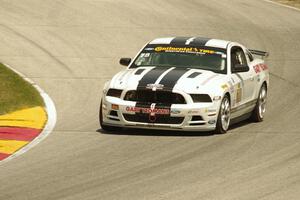 David Levine / Lucas Bize Ford Mustang Boss 302R